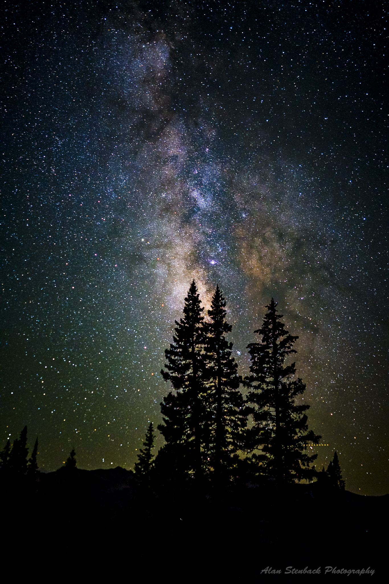 Starry night sky with Milky Way galaxy illuminating silhouetted pine trees.