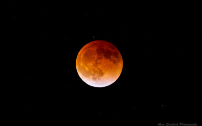 How to Photograph a Lunar Eclipse (Without Losing Sleep or Your Mind)