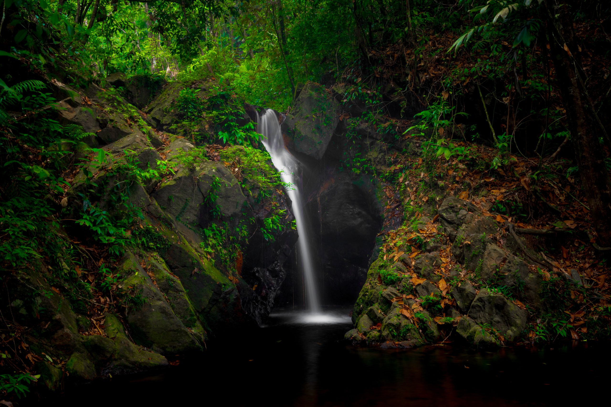 Serene forest waterfall surrounded by lush greenery and rocky terrain.