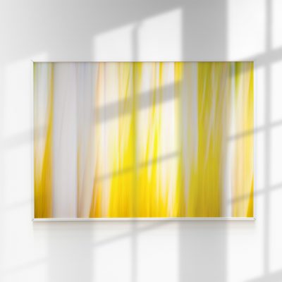Autumn, Fall Foliage, Fall Colors, Abstract, Aspen Trees, Rocky Mountains, Colorado 7/7