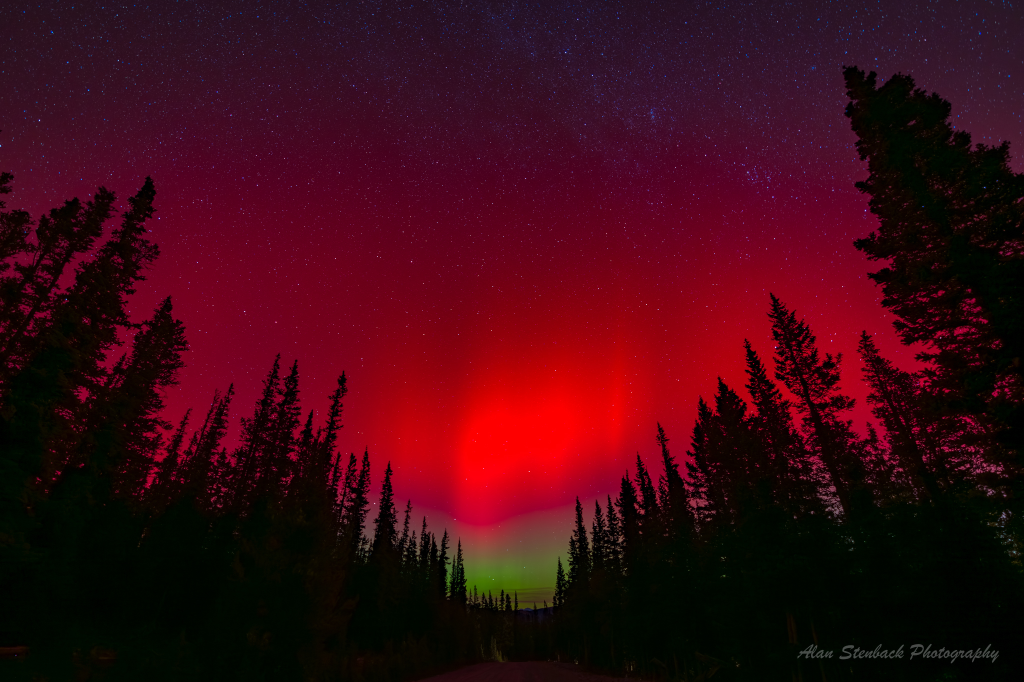 Vivid red aurora borealis over a forest with starry night sky