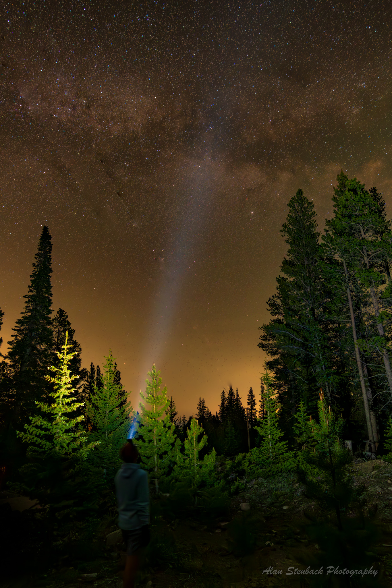 Stargazer in forest illuminated by flashlight under a starry sky and Milky Way.