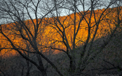 The Jemez Mountains: A Morning of Light and Form
