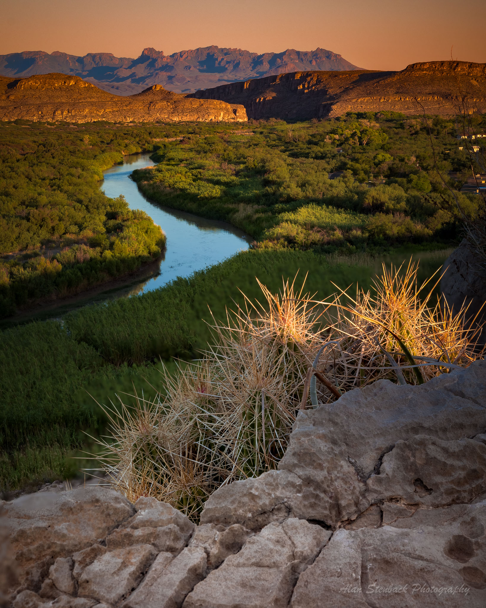 Desert landscape with a winding river, surrounded by green vegetation and rugged hills, highlighted by the warm glow of sunset; foreground features a sunlit cactus on rocky terrain.