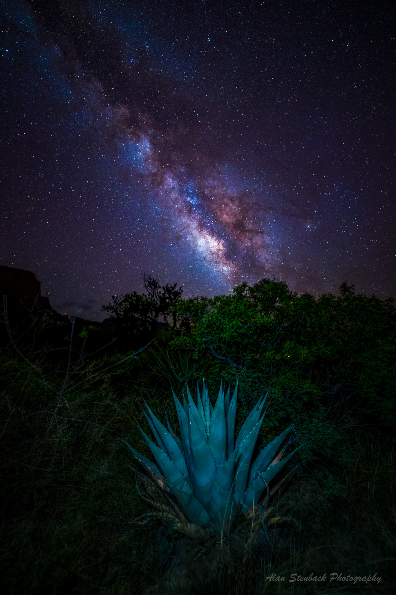 Milky Way galaxy illuminating the night sky over lush agave plant in desert landscape.