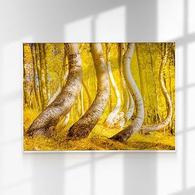 Dancing Aspens, Aspen Trees, Gold, Fall Foliage, Autumn, Ophir, Colorado, Fine Art Print, Wall Art